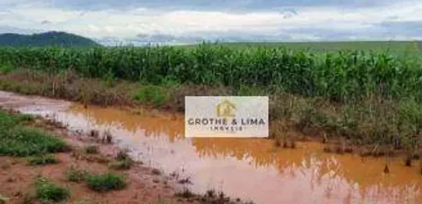 Fazenda/Sítio com 5 Quartos à venda, 800m² no Centro, Estreito