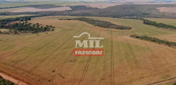 Fazenda/Sítio à venda, 500m² no , Silvânia