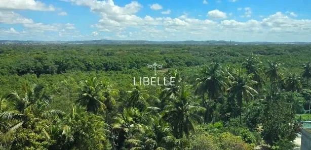 Sala Comercial à venda, 50m² no Paiva, Cabo de Santo Agostinho