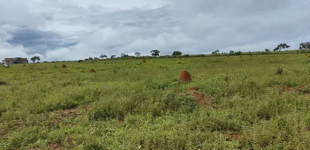 Fazenda/Sítio à venda, 2000m² no , Leopoldo de Bulhões