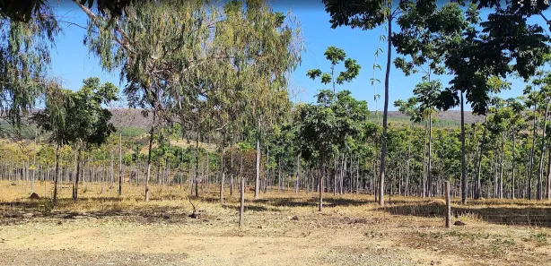 Lote/Terreno à venda, 20013m² no , Cordisburgo