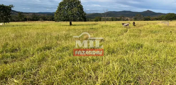 Fazenda/Sítio à venda, 500m² no , Jaraguá