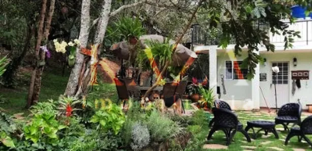 Fazenda/Sítio com 4 Quartos à venda, 16290m² no Parque Rio Branco, Valparaíso de Goiás