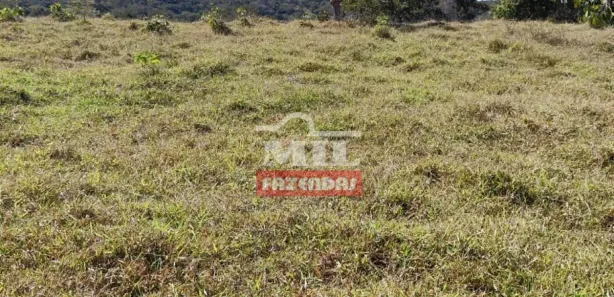 Fazenda/Sítio à venda, 20000m² no , Jaraguá
