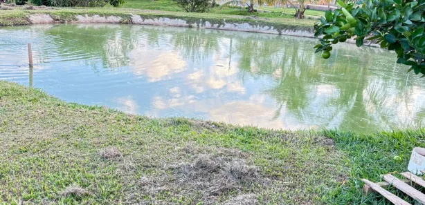 Fazenda/Sítio com 3 Quartos à venda, 3000m² no , Nerópolis