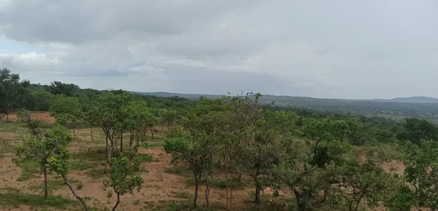 Lote/Terreno à venda, 20000m² no , Cordisburgo