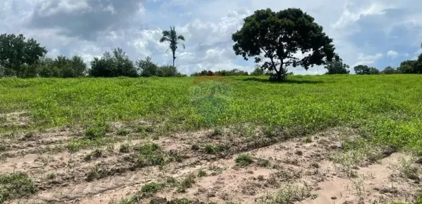 Fazenda/Sítio com 3 Quartos à venda, 2400000m² no Loteamento Araguaína Sul, Araguaína