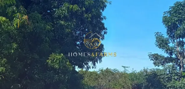 Fazenda/Sítio com 3 Quartos à venda, 8088m² no , São Luiz do Norte