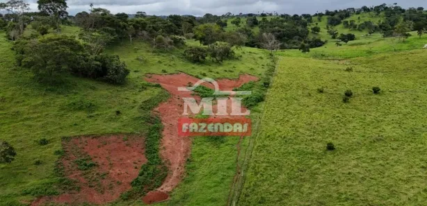 Fazenda/Sítio à venda, 20000m² no Vila Mutirão, Inhumas