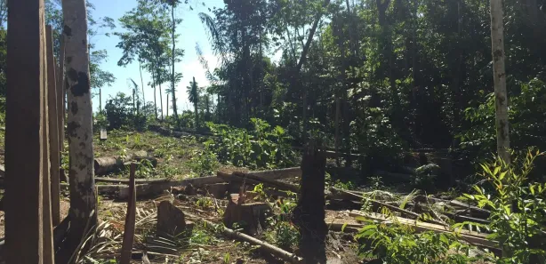 Lote/Terreno à venda, 400m² no Tarumã, Manaus