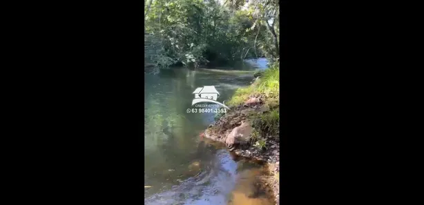 Fazenda/Sítio à venda, 1m² no Área Rural de Palmas, Palmas