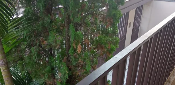 Sobrado com 3 Quartos para venda ou aluguel, 270m² no Jardim Prestes de Barros, Sorocaba