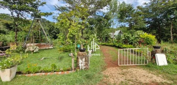 Fazenda/Sítio com 2 Quartos à venda, 80m² no Área Rural de Palmas, Palmas