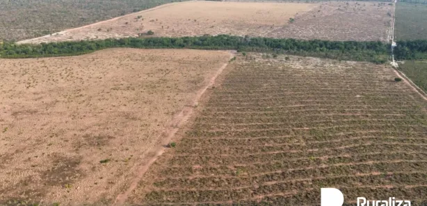 Fazenda/Sítio à venda, 807m² no , Tupiratins