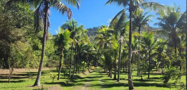 Fazenda/Sítio com 3 Quartos à venda, 300m² no Hararas da Peniche, Tanguá