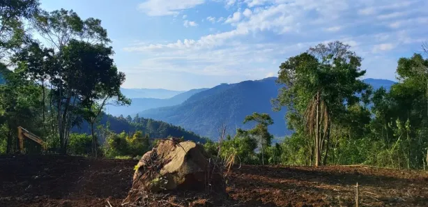 Lote/Terreno à venda, 23196m² no , Nova Petrópolis
