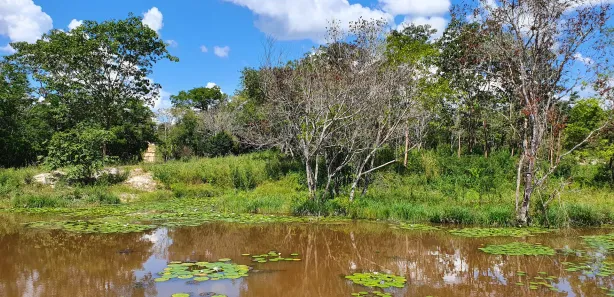 Lote/Terreno à venda, 20000m² no Zona Rural, Fortuna de Minas