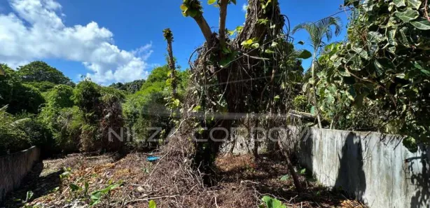 Lote/Terreno à venda, 459m² no Arraial D'Ajuda, Porto Seguro