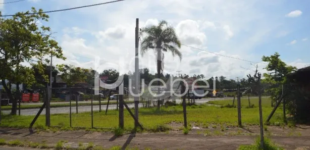 Lote/Terreno à venda, 544m² no Rincão do Cascalho, Portão