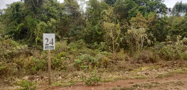 Lote/Terreno à venda, 20000m² no , Paraopeba