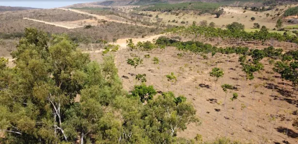 Lote/Terreno à venda, 20000m² no , Cordisburgo