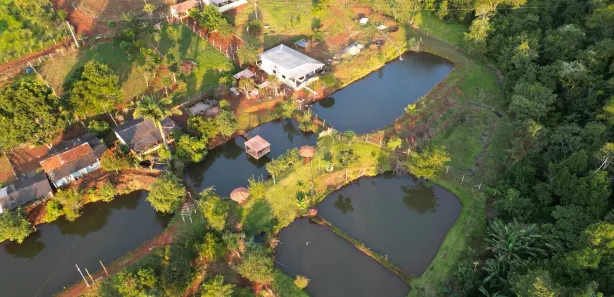 Fazenda/Sítio com 3 Quartos à venda, 180m² no , Bonfinópolis