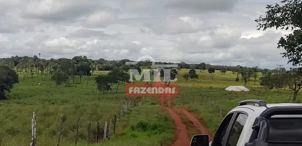 Fazenda/Sítio à venda, 500m² no Centro, Estreito
