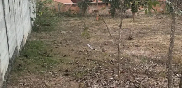 Lote/Terreno à venda, 500m² no Palmital, Lagoa Santa