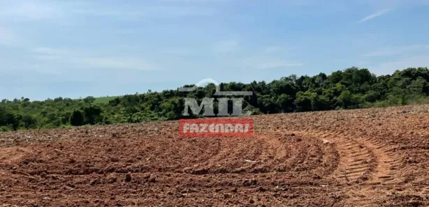 Fazenda/Sítio à venda, 500m² no , São Luíz do Norte