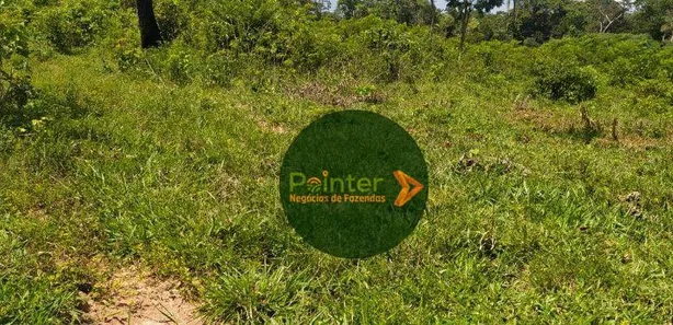Fazenda/Sítio à venda, 19698800m² no , Niquelândia