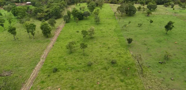 Fazenda/Sítio à venda, 20000m² no ZONA RURAL, Bonfinópolis