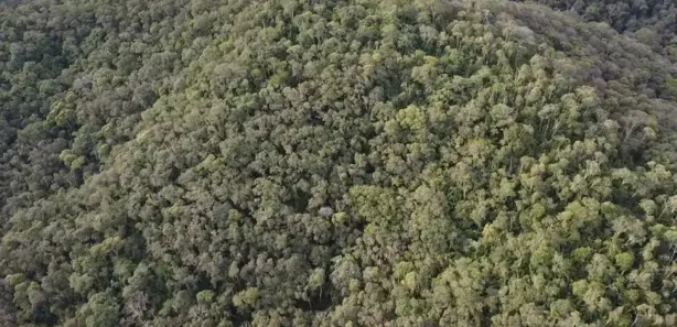 Fazenda/Sítio à venda, 290400m² no , Antonina