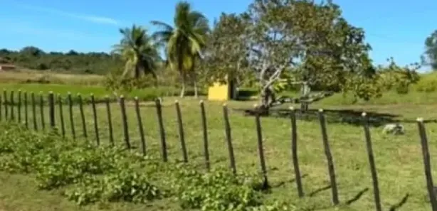 Lote/Terreno à venda, 120000m² no , José de Freitas