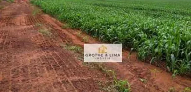 Fazenda/Sítio com 5 Quartos à venda, 800m² no Centro, Estreito