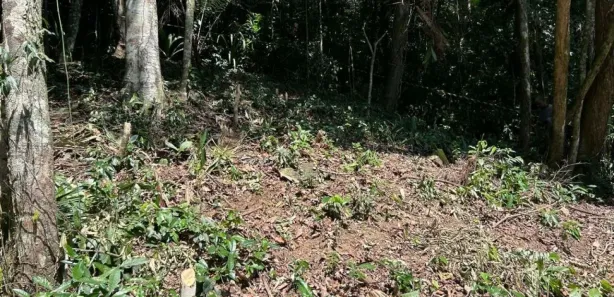 Lote/Terreno à venda, 1800m² no Balneario Praia do Perequê, Guarujá