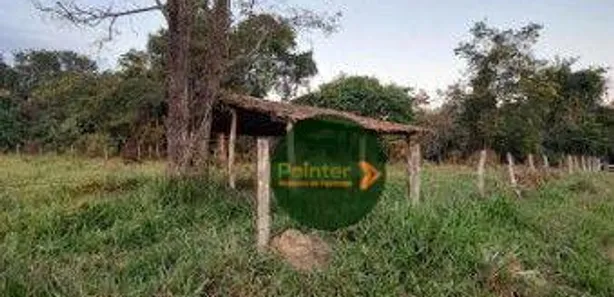 Fazenda/Sítio à venda, 1306800m² no , 