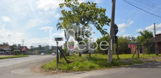 Lote/Terreno à venda, 544m² no Rincão do Cascalho, Portão