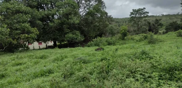 Lote/Terreno à venda, 20000m² no Zona Rural, Fortuna de Minas