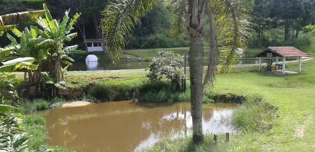 Ponto Comercial à venda, 600m² no Cachoeira, Cotia