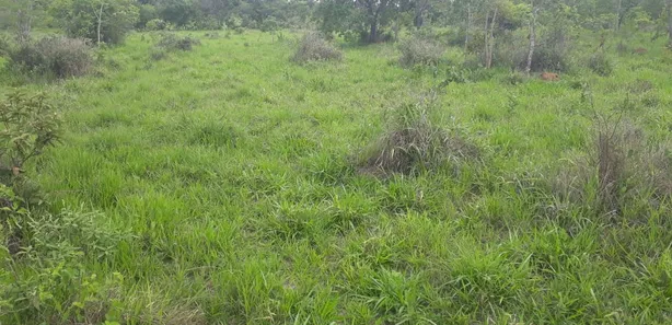 Lote/Terreno à venda, 20000m² no , Araçaí