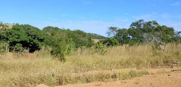 Fazenda/Sítio à venda, 1000m² no , Abadiânia