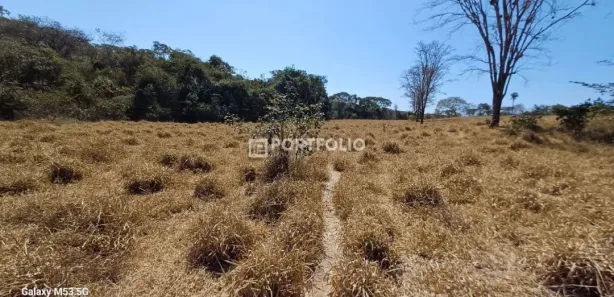 Fazenda/Sítio à venda, 1839200m² no , Jaraguá