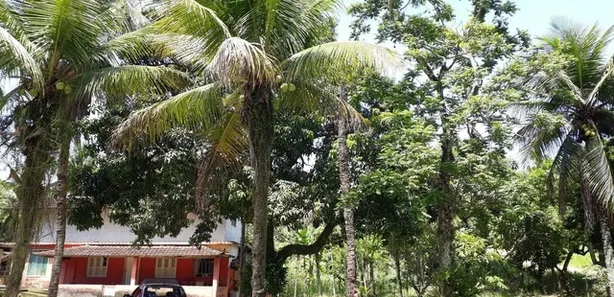 Fazenda/Sítio com 4 Quartos à venda, 12800m² no Duques, Tanguá