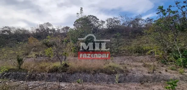 Fazenda/Sítio com 3 Quartos à venda, 200m² no São Luiz do Tocantins, Niquelândia