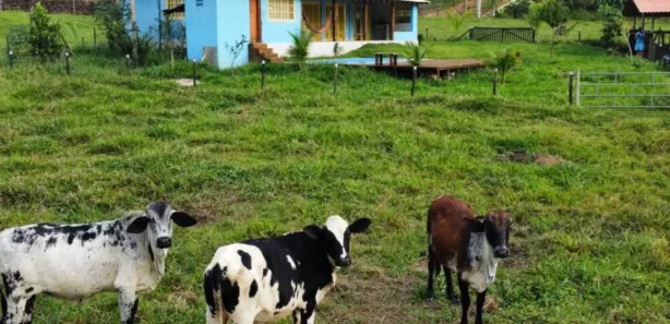 Fazenda/Sítio com 2 Quartos à venda, 8300m² no Área Rural de Guarapari, Guarapari
