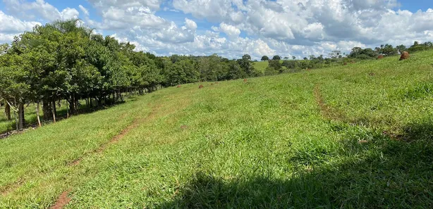 Fazenda/Sítio com 2 Quartos à venda, 96800m² no , Bonfinópolis