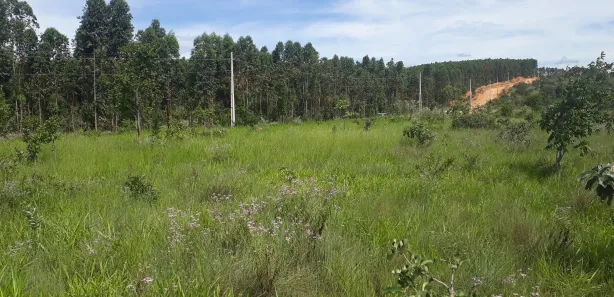 Lote/Terreno à venda, 20000m² no , Paraopeba