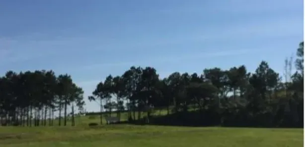 Lote/Terreno para venda ou aluguel, 10900m² no Vila Artura, Sorocaba