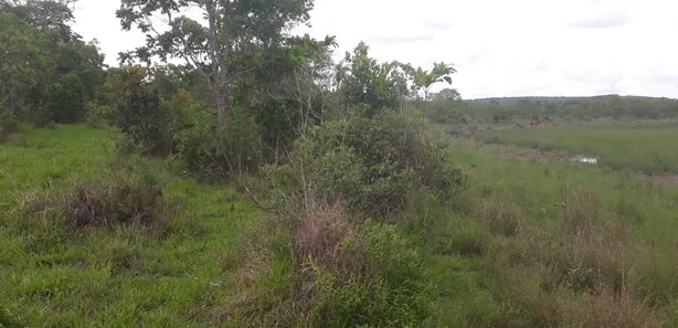 Lote/Terreno à venda, 20000m² no , Araçaí