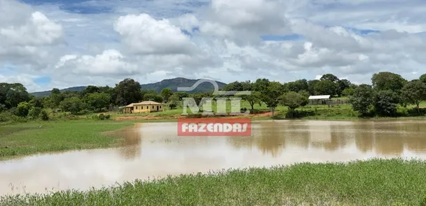 Fazenda/Sítio com 4 Quartos à venda, 500m² no , Goiás